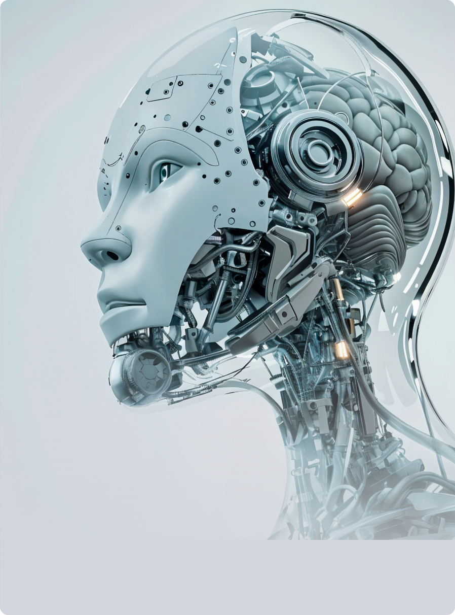 Natural Language Processing (NLP)