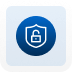 Fraud & Security Risks 